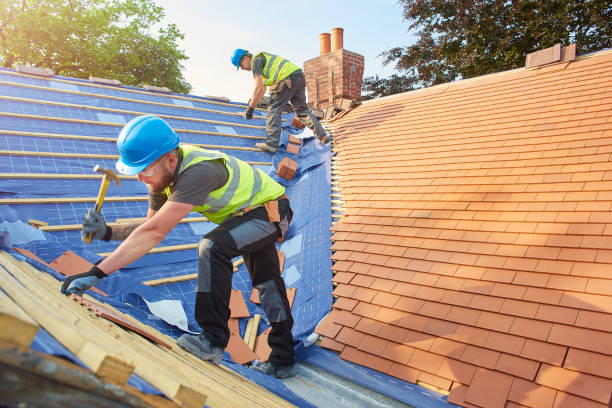Best Commercial Roofing Services  in St Peter, MN